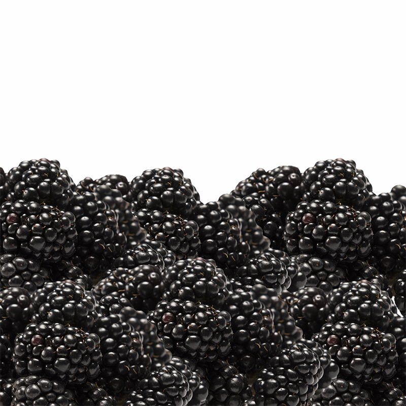 批发零售德蕾有机种植黑树莓水果覆盆子鲜果孕妇新鲜水果现摘现发黑
