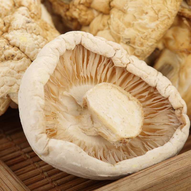 高原石渠白菌100g/罐装 两款包装随机发货 高原良仓