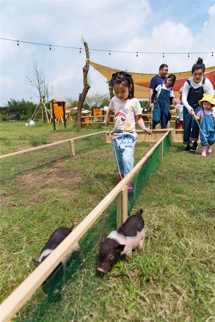 【上海周边】实拍赶小猪,柴火灶野餐,森林乐园,亲子别墅!