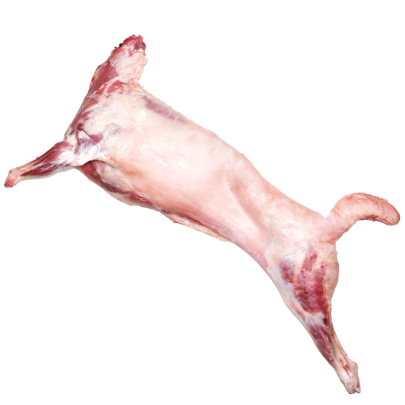 宁鑫| 宁夏盐池滩羊 6月龄新鲜半只羊8kg 散养整体新鲜白条羊