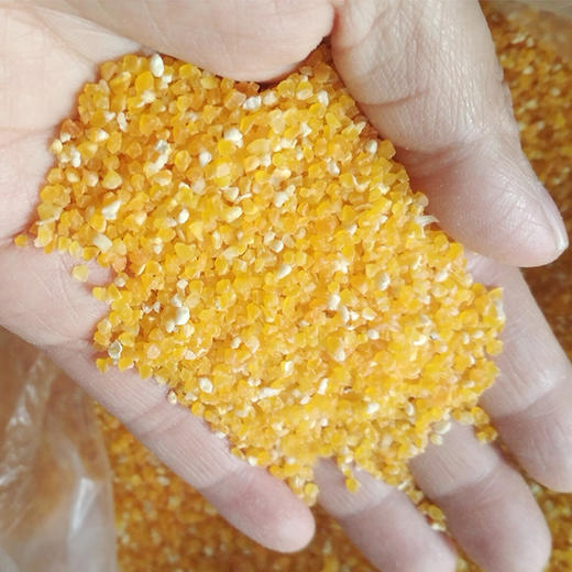 安顺平坝平坝包谷米3斤装全国包邮农家自种居家煮粥做饭必备食材粗粮