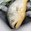 香烤小黄鱼 商品缩略图1