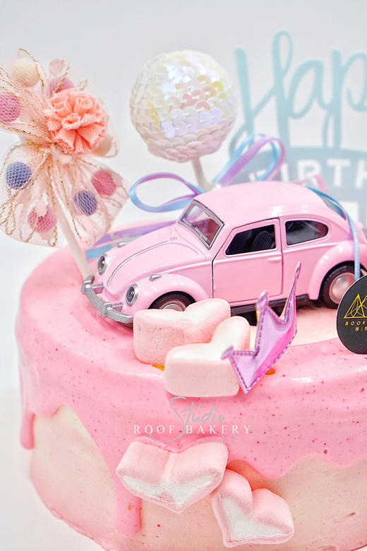 心动甲壳虫 商品图2