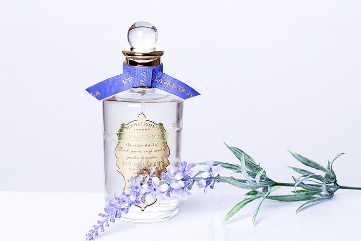 penhaligon`s lavandula 潘海利根 薰衣草 女士 正装 香水