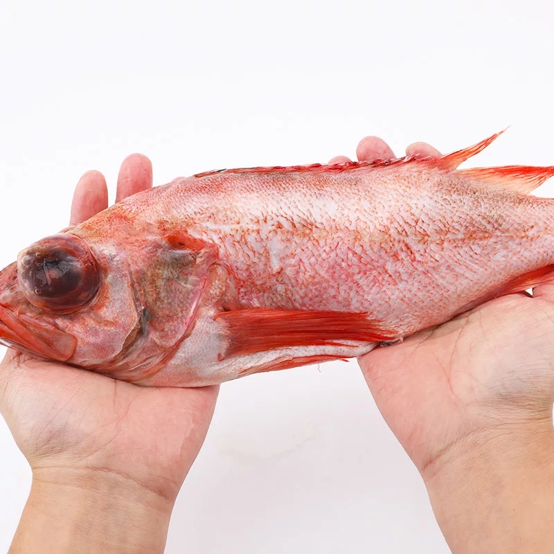 深海新鲜红鱼500g-700g/盒