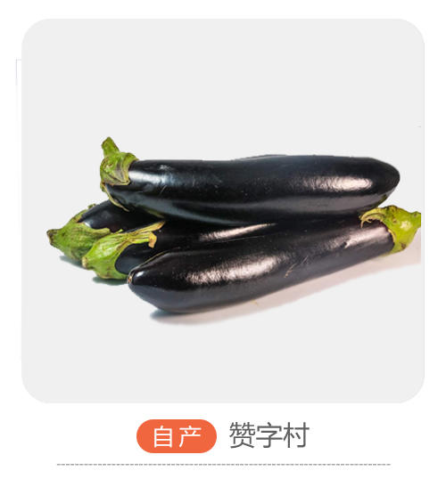 紫茄子 商品图0