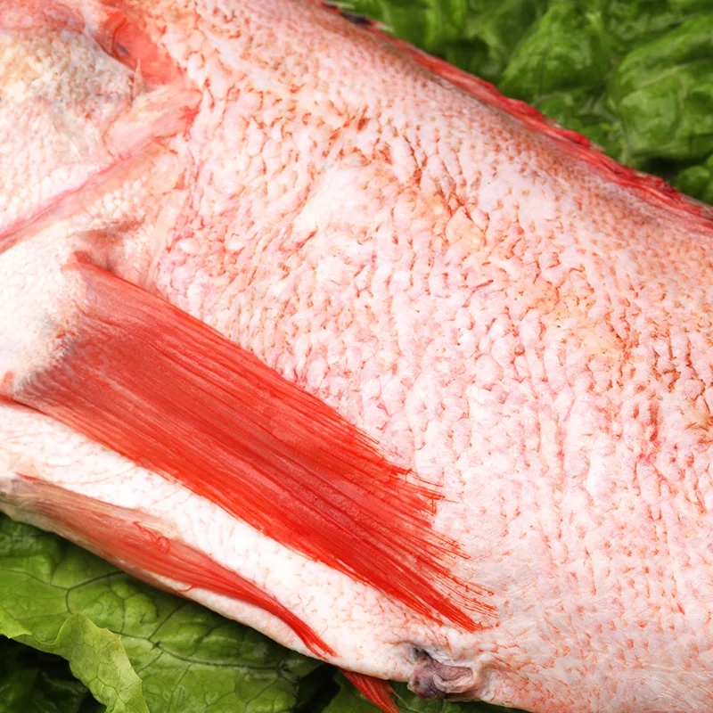 深海新鲜红鱼500g-700g/盒