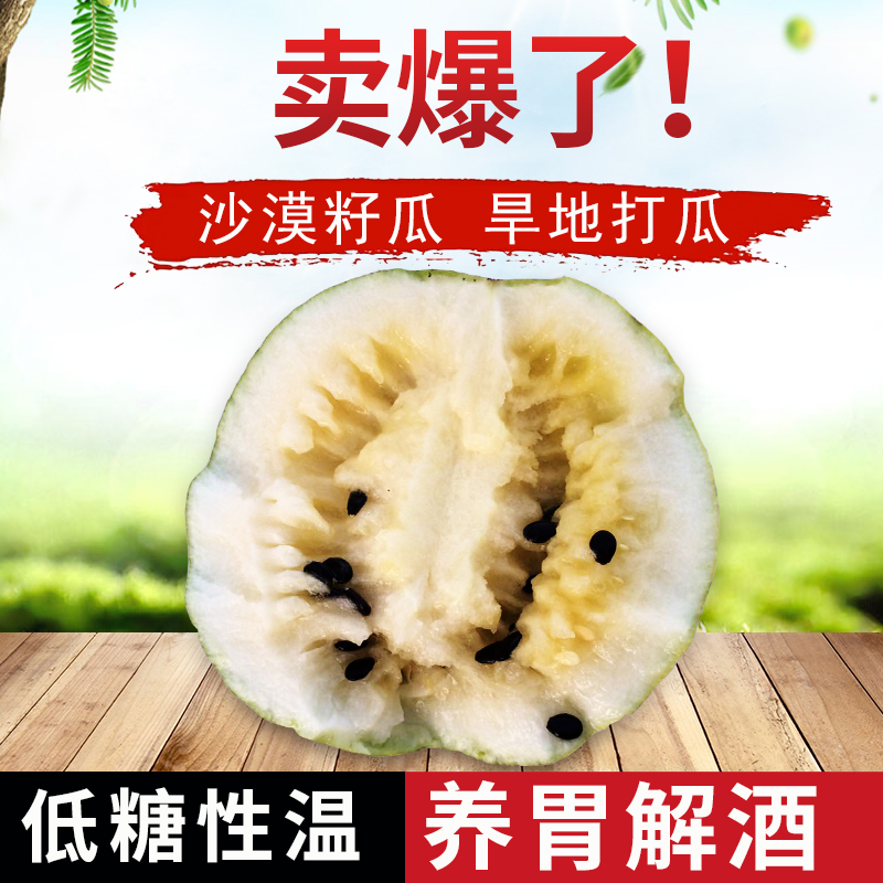 (1枚装)民勤沙漠籽瓜