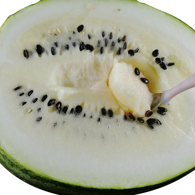 (1枚装)民勤沙漠籽瓜