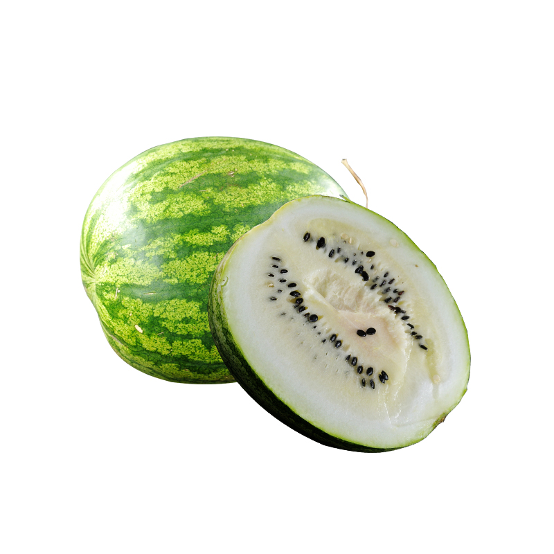 (1枚装)民勤沙漠籽瓜