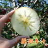 商品缩略图