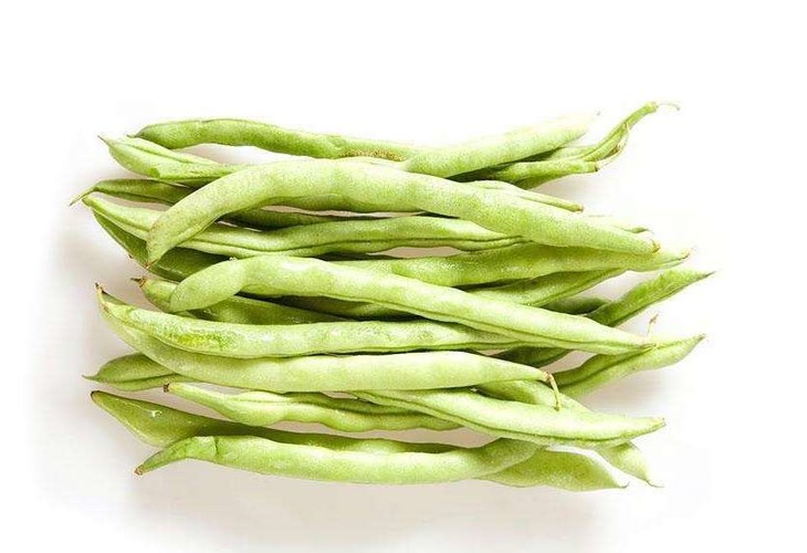 豆王图片,架豆王图片,长豆角图片大全_大山谷图库