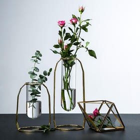 北欧创意铁艺插花试管花瓶家居装饰品ins摆件透明玻璃小清新花器