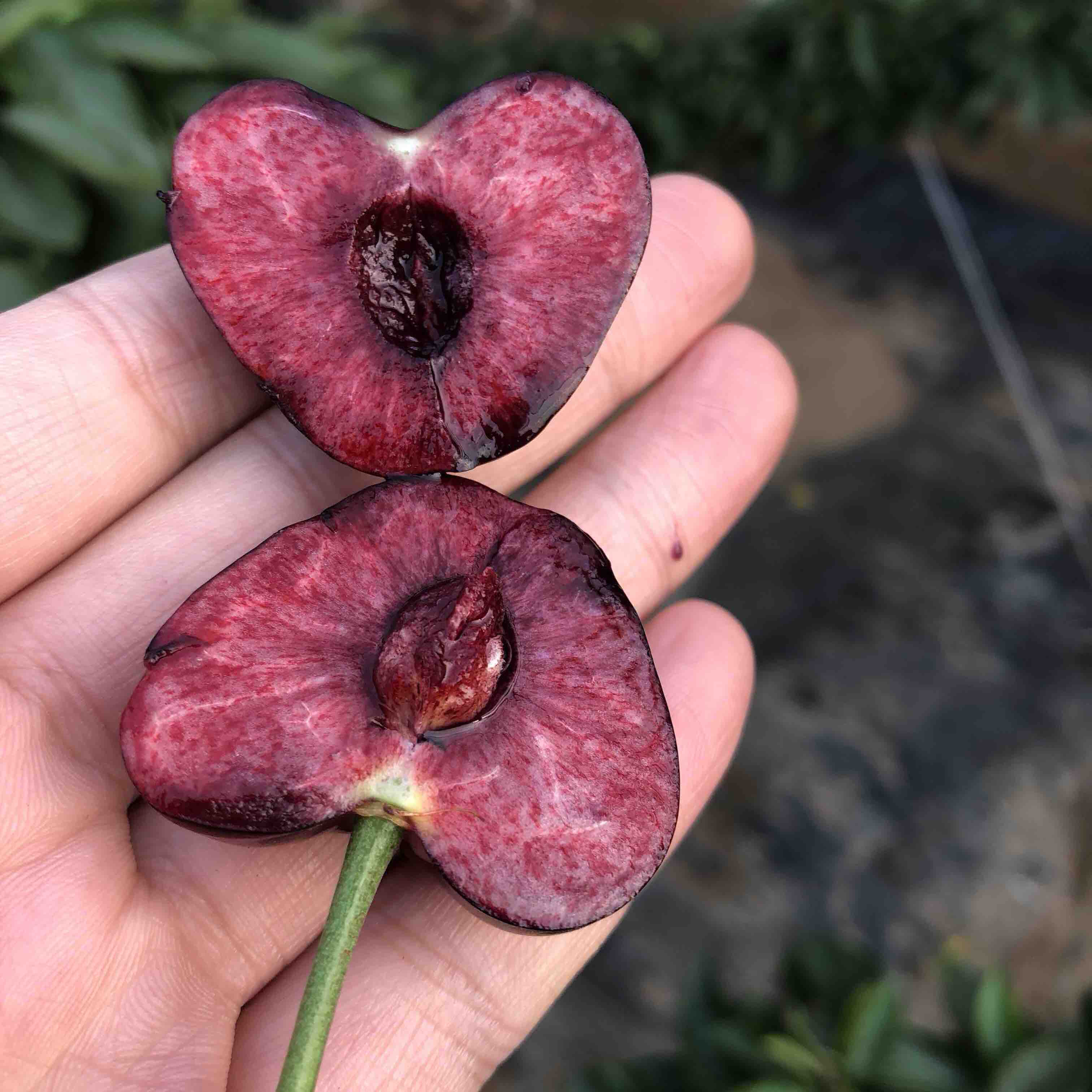 大连小薛生鲜食品200511