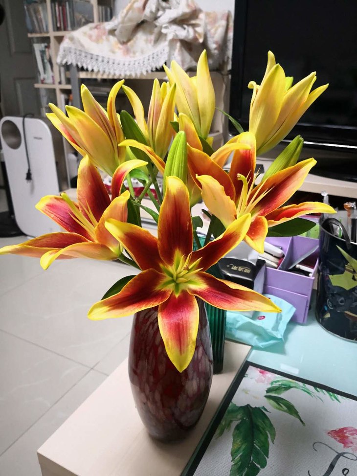 9元/5枝,亚百合:皇冠(多头)!物流可选,全国大部分地区包邮