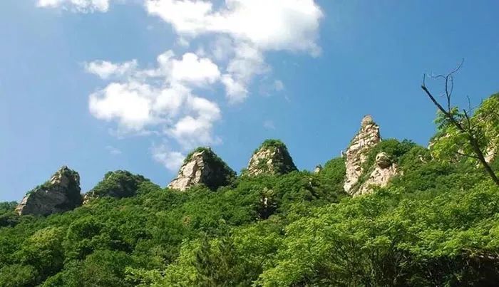 五嶽寨森林公園成人門票團購(電子票)