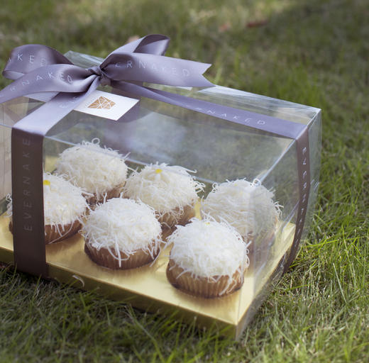 小雏菊 商品图0