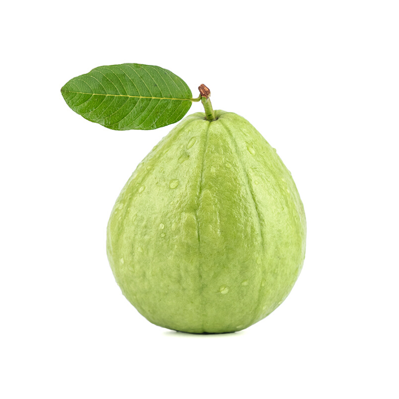 海南白心番石榴芭乐4斤装丨北纬18°光照充足 自然成熟 清甜爽口