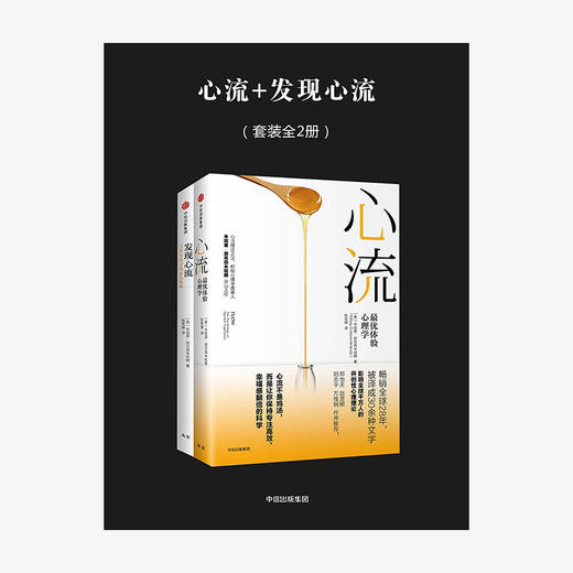 心流 : 体验心理学+发现心流：日常生活中的心流体验（套装共2册） 米哈里契克森米哈赖 著 中信出版社图书 正版书籍 商品图2