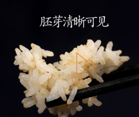 秋冬养生怎么吃