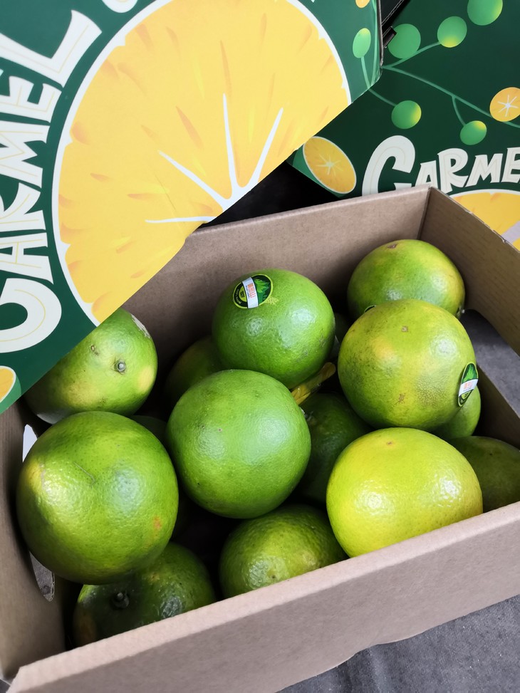 沅江绿皮冰糖橙