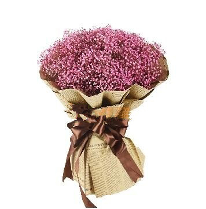 1264 温暖幸福 --粉色满天星一把 同城鲜花店送花订花花束礼盒开业