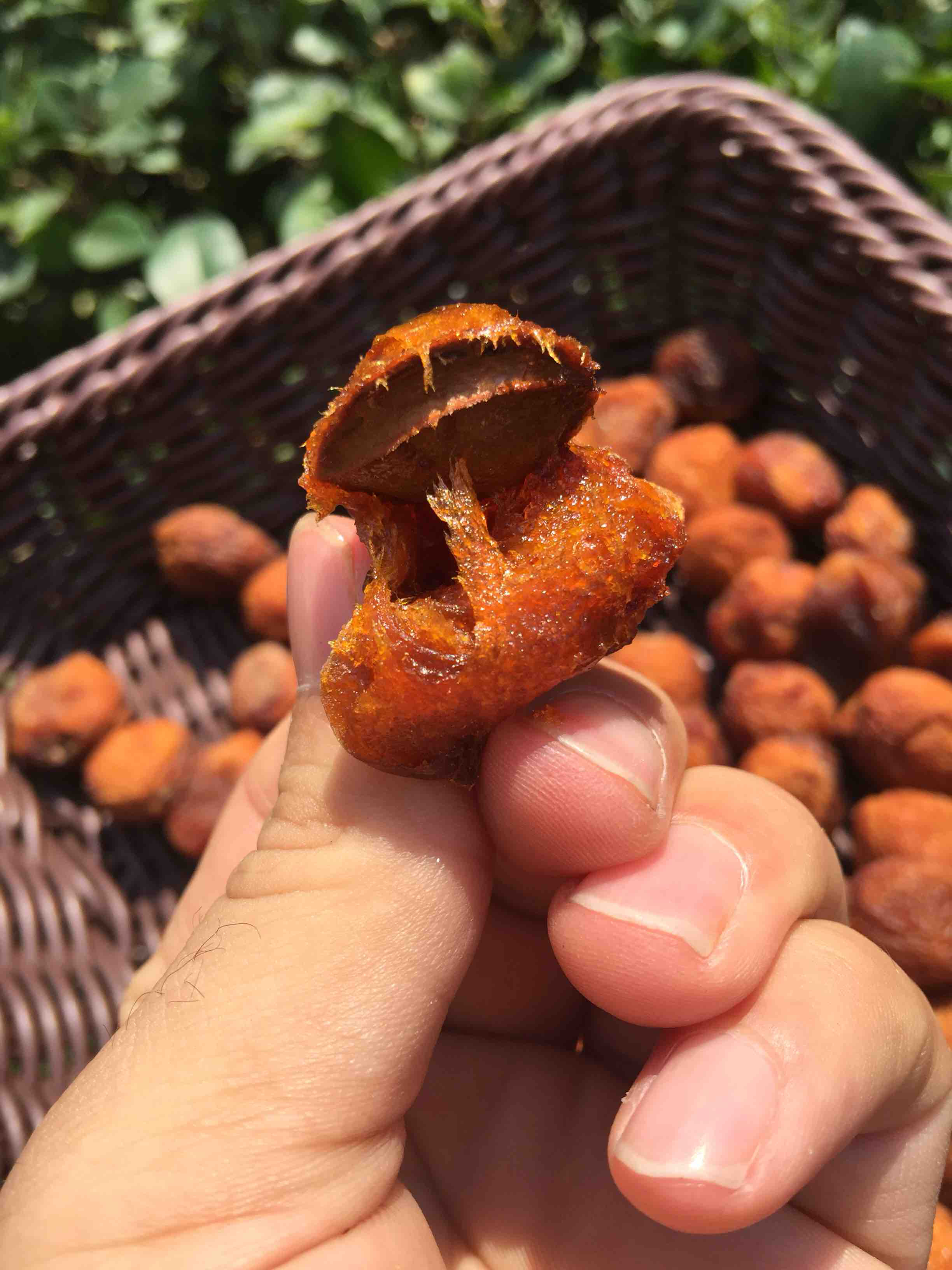 【吊干杏】二象限32四团吊干杏 香甜可口 兵团品质 一杏两吃 多重美味