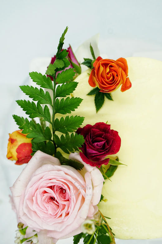 无糖清风·粉玫瑰 商品图4