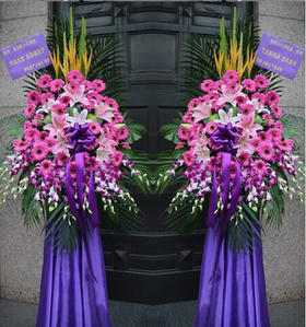 万紫千红（单个）  40支紫色芙兰，10支杨兰，8朵百合，5支天堂鸟，底部围紫色萨满(1474)