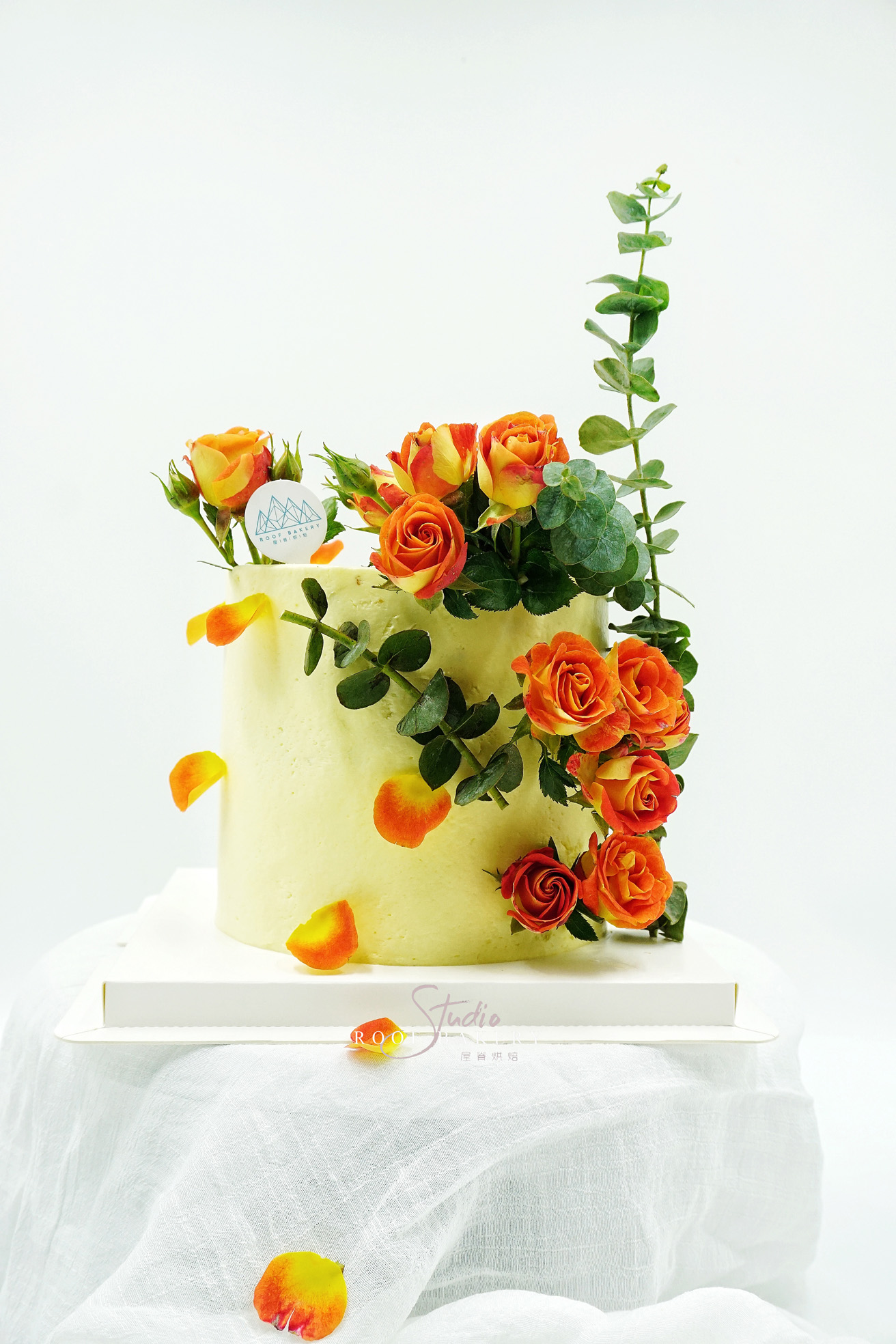 无糖清风·狂欢泡泡