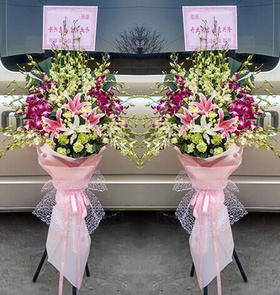 新春大吉（单个）   30支白色杨兰，20支紫色杨兰，3朵百合，8支白色康乃馨，底部围上粉色纸(1475)