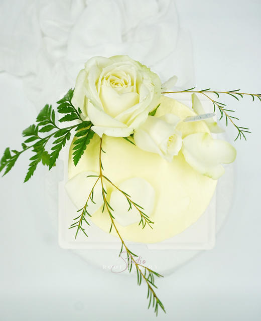 无糖清风·白玫瑰 商品图4