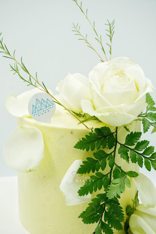 无糖清风·白玫瑰 商品图1