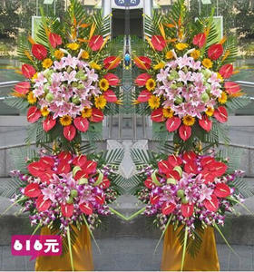 欣欣向荣（单个） 10支天堂鸟，30支红掌，8朵百合，10支芙兰，12支杨兰（1485））