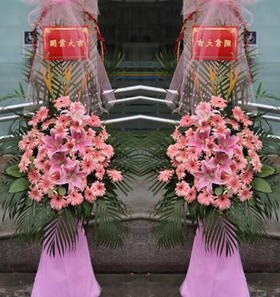 财运亨通（单个）  30支粉色芙兰，3朵粉色百合，3朵天堂鸟，底部围粉色沙曼(1476)