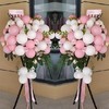 生意昌盛 单个   16个粉气球，22个白气球，戴安娜粉玫瑰间插，龟背叶等绿叶搭配(1642) 商品缩略图0