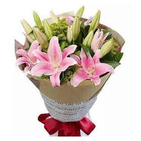 温暖永恒  -粉色百合15朵，白色百合6朵，黄英点缀(1626)