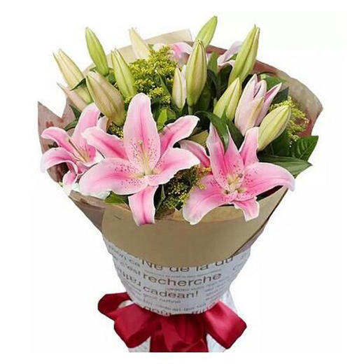 温暖永恒  -粉色百合15朵，白色百合6朵，黄英点缀(1626) 商品图0