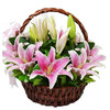 繁花梦情  19朵精品粉色香水百合，绿叶点缀而成，带花泥插手提编精致花篮(1628) 商品缩略图0