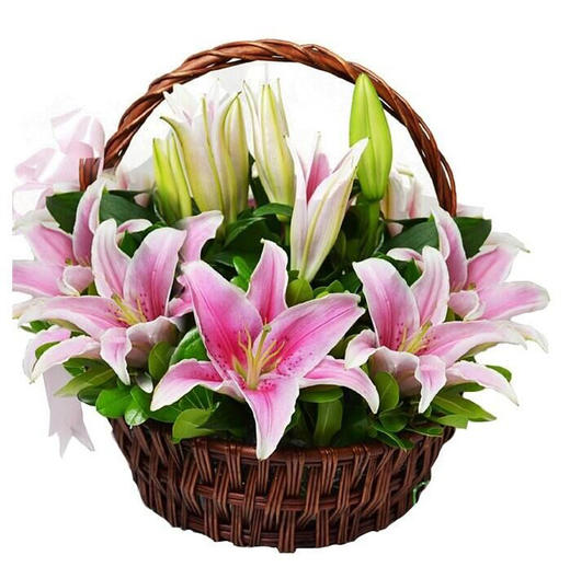 繁花梦情  19朵精品粉色香水百合，绿叶点缀而成，带花泥插手提编精致花篮(1628) 商品图0