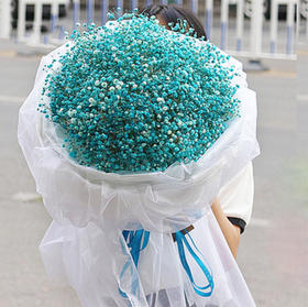 星星点点    一大束蓝色满天星(1601)