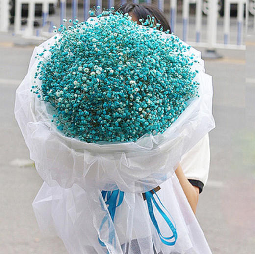 星星点点    一大束蓝色满天星(1601) 商品图0