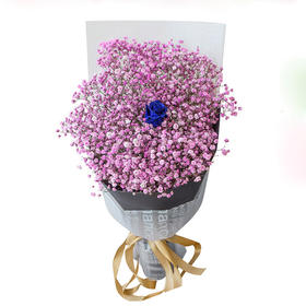 爱如空气 --粉色满天星 1支蓝色妖姬(1600)