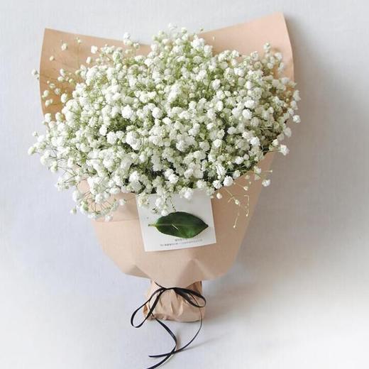 只如初见   白色满天星(1603) 商品图0