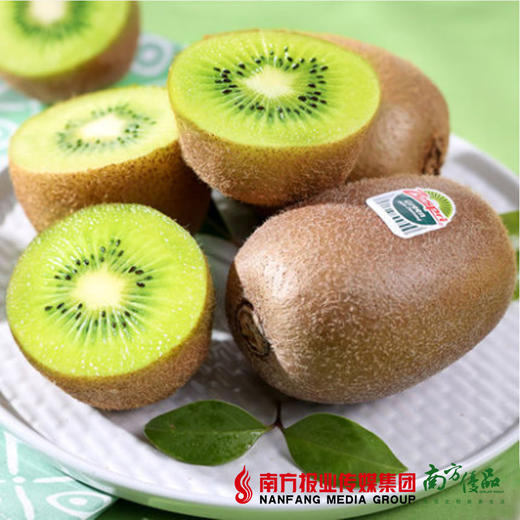 【酸甜适口】新西兰佳沛绿奇异果  22个/箱  7斤左右/箱  150g左右/个 商品图3