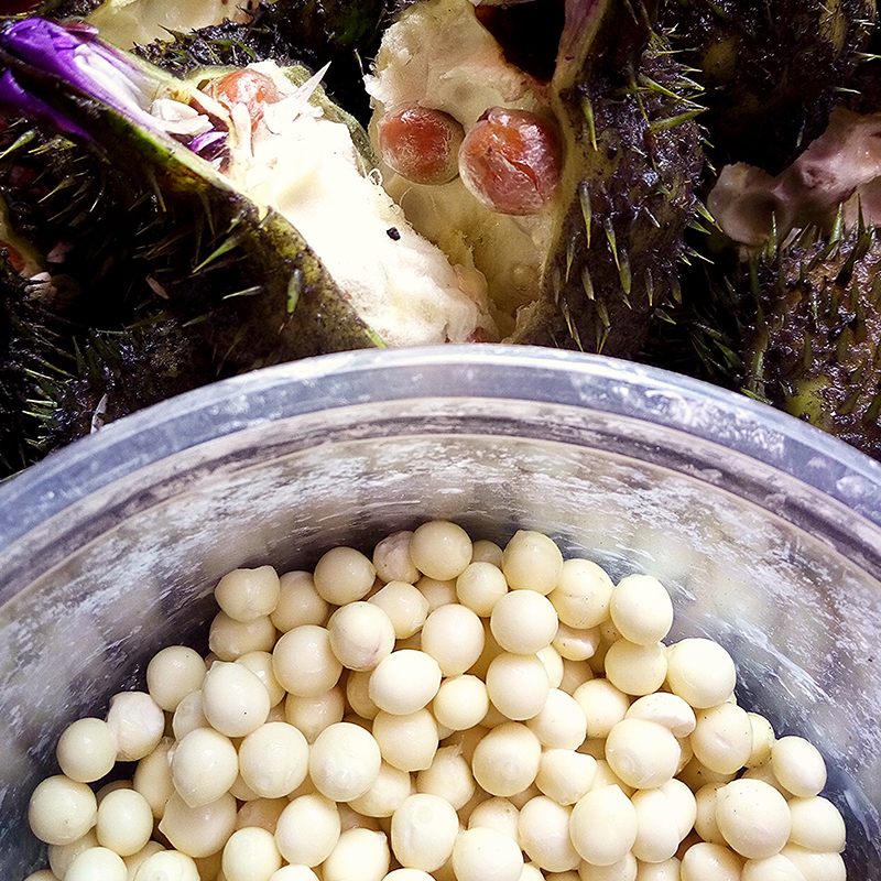 帮卖精选 | 秋季进补食材 新鲜芡实 鸡头米 手工剥壳,颗粒饱满 口感软