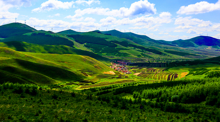 雄库鲁野奢帐篷酒店