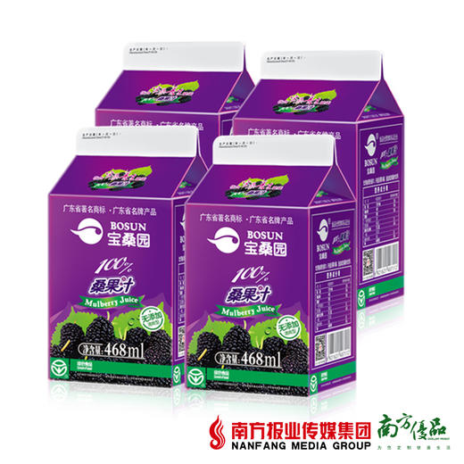 【营养健康】宝桑园 鲜榨桑葚汁饮料 468ml/盒 商品图1