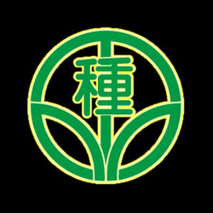 菜小丫蔬果种子210315