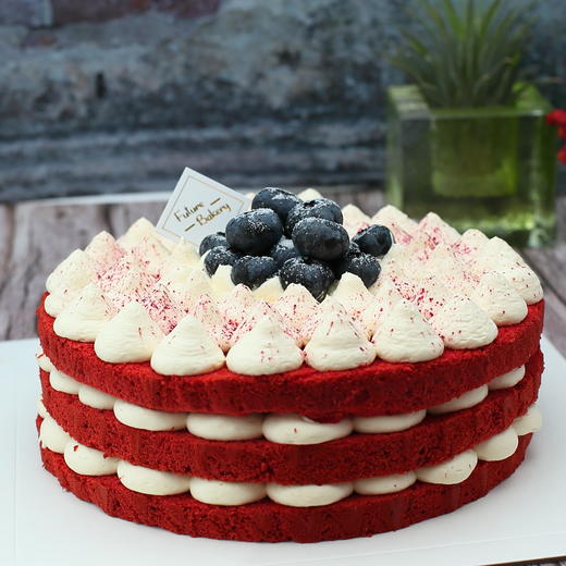 生日蛋糕（红丝堡垒） 商品图0